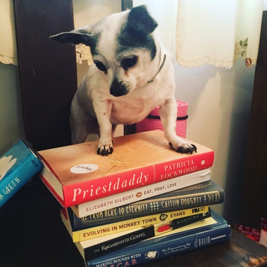 Tinkerbell the chihuahua sits on a pile of books